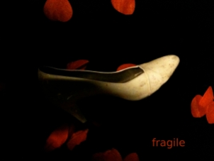 Photo de la série // Photo of the series - « Fragile ! » 2015